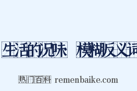 生活的况味·模糊反义词是什么意思的图片